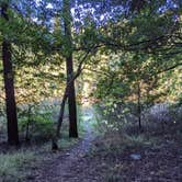 Review photo of Jedidiah Smith Campground — Redwood National Park by Leandra P., December 2, 2021