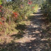 Review photo of Fort Pickens Campground — Gulf Islands National Seashore by Keisha D., December 1, 2021