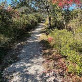 Review photo of Fort Pickens Campground — Gulf Islands National Seashore by Keisha D., December 1, 2021