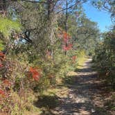 Review photo of Fort Pickens Campground — Gulf Islands National Seashore by Keisha D., December 1, 2021