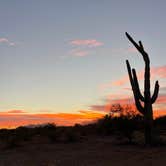 Review photo of BLM Ironwood Forest National Monument - Pipeline Rd Dispersed camping by Abby M., December 2, 2021