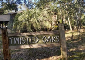 Twisted Oaks