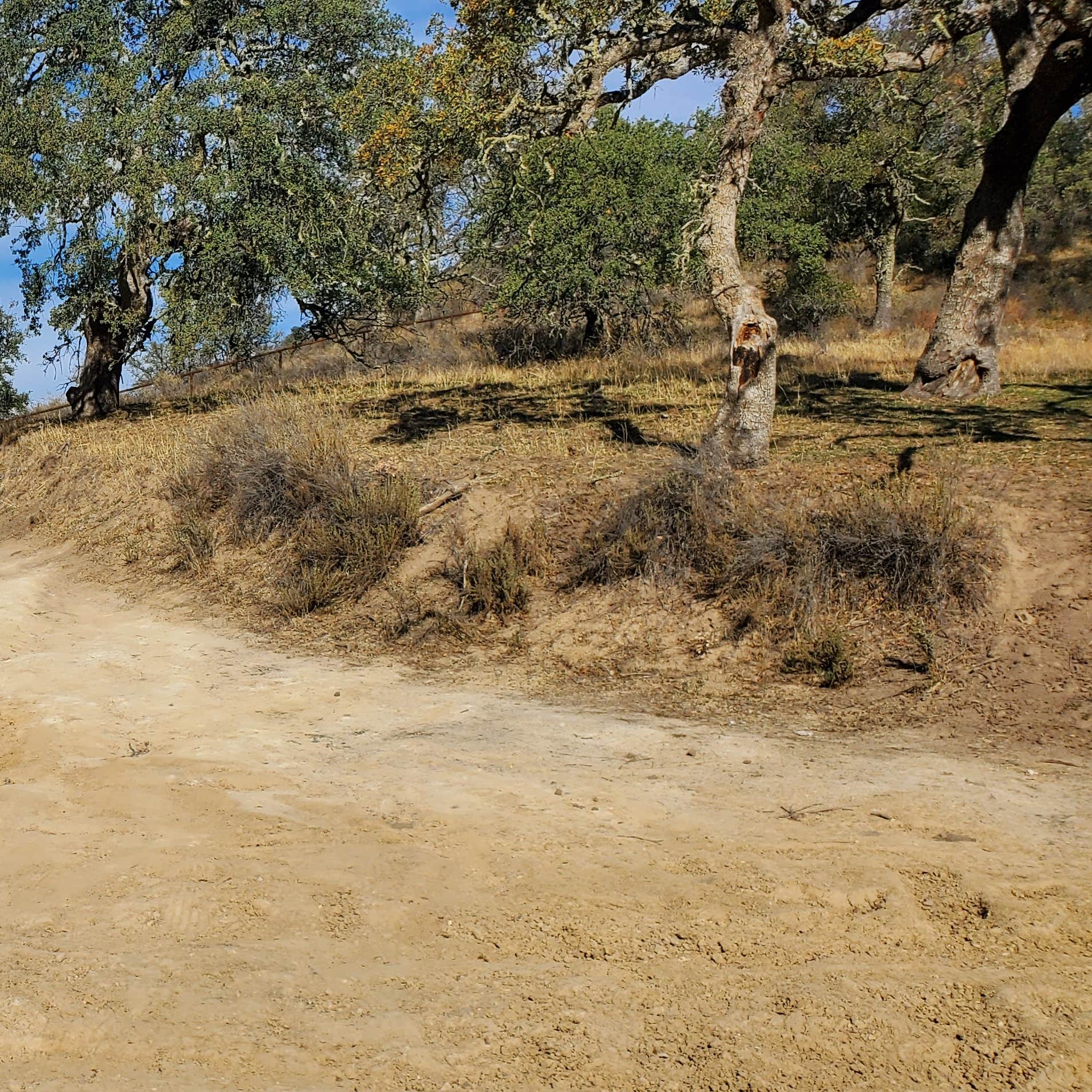 Colson Canyon Campground Santa Maria, CA