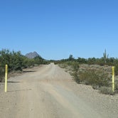 Review photo of BLM Ironwood Forest National Monument - Pipeline Rd Dispersed camping by Greg L., December 2, 2021