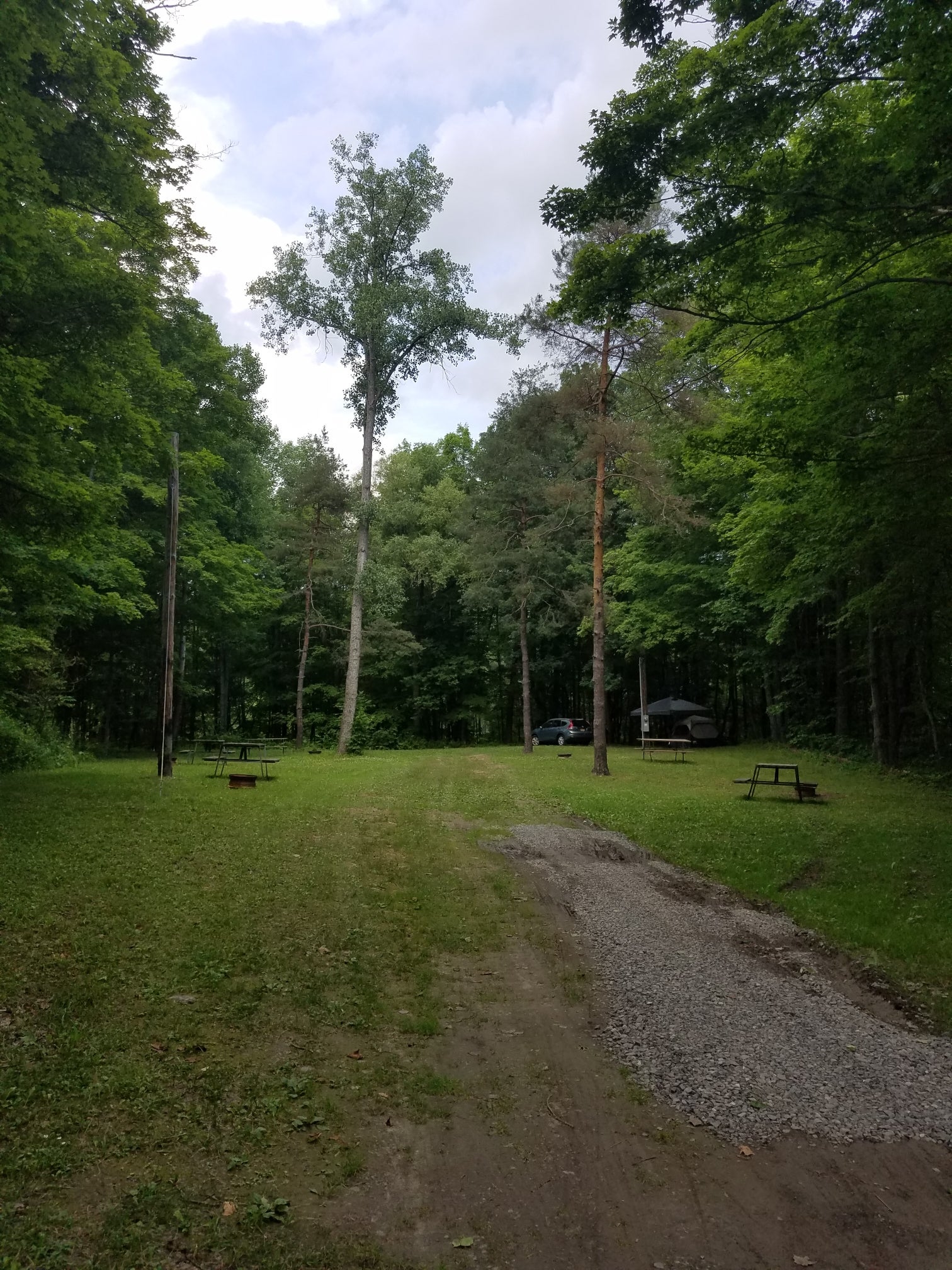 Camper submitted image from Pinecreek Campground - 5