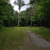 Review photo of Pinecreek Campground by Brian H., July 8, 2018