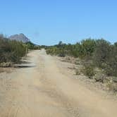 Review photo of BLM Ironwood Forest National Monument - Pipeline Rd Dispersed camping by Greg L., December 2, 2021