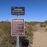 Review photo of BLM Ironwood Forest National Monument - Pipeline Rd Dispersed camping by Greg L., December 2, 2021