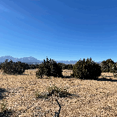 Review photo of Piñon Campground — Lathrop State Park by Butch K., December 2, 2021