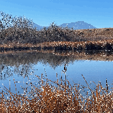 Review photo of Piñon Campground — Lathrop State Park by Butch K., December 2, 2021