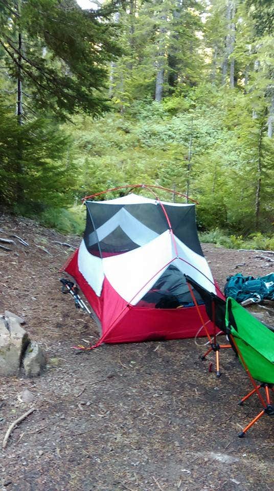 Camper submitted image from Deer Lake — Olympic National Park - 1