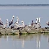 Review photo of Seawind RV Resort by Cris C., December 3, 2021