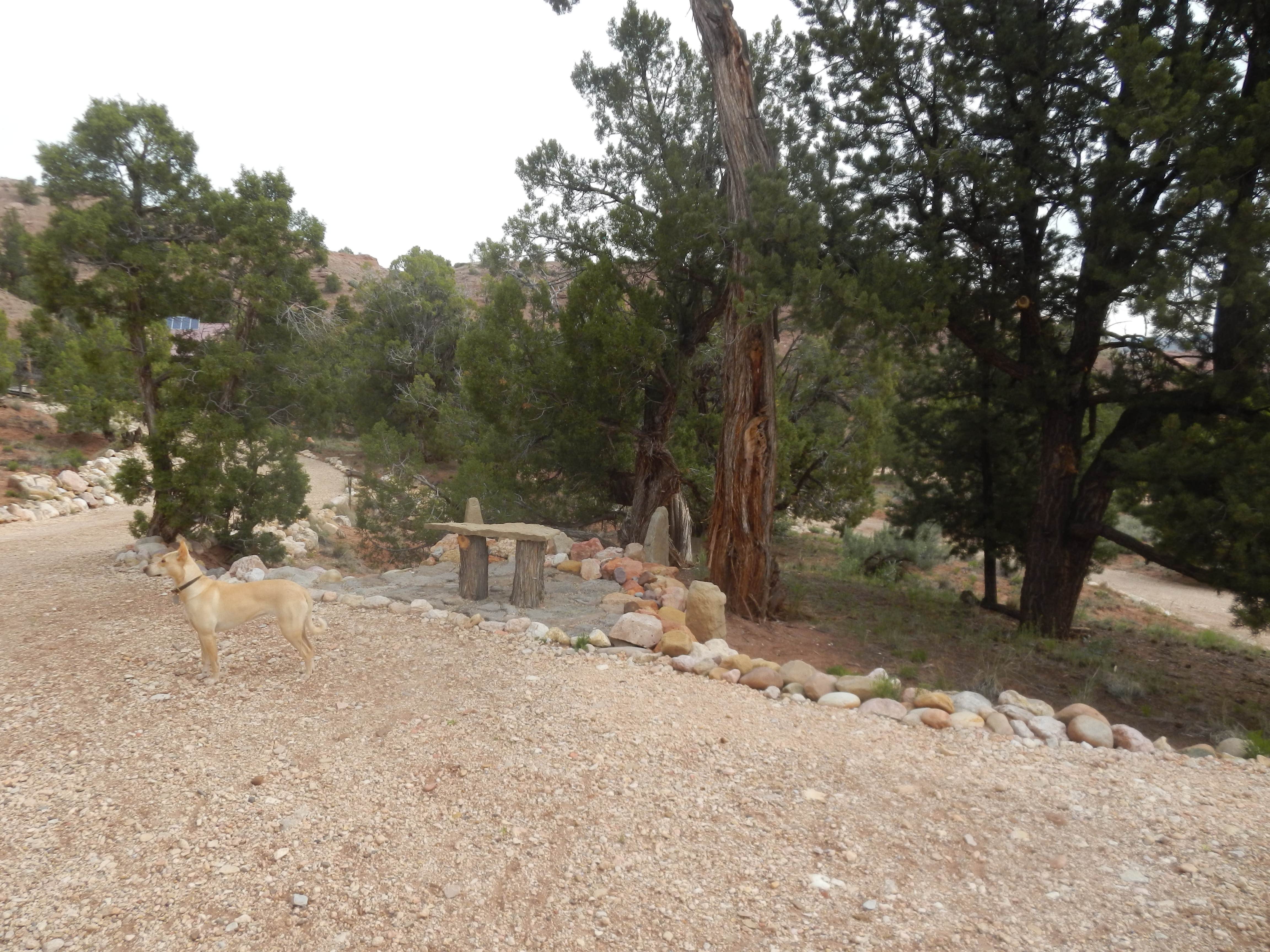 Camper-submitted photo at Ranchito Feliz near Henrieville, UT