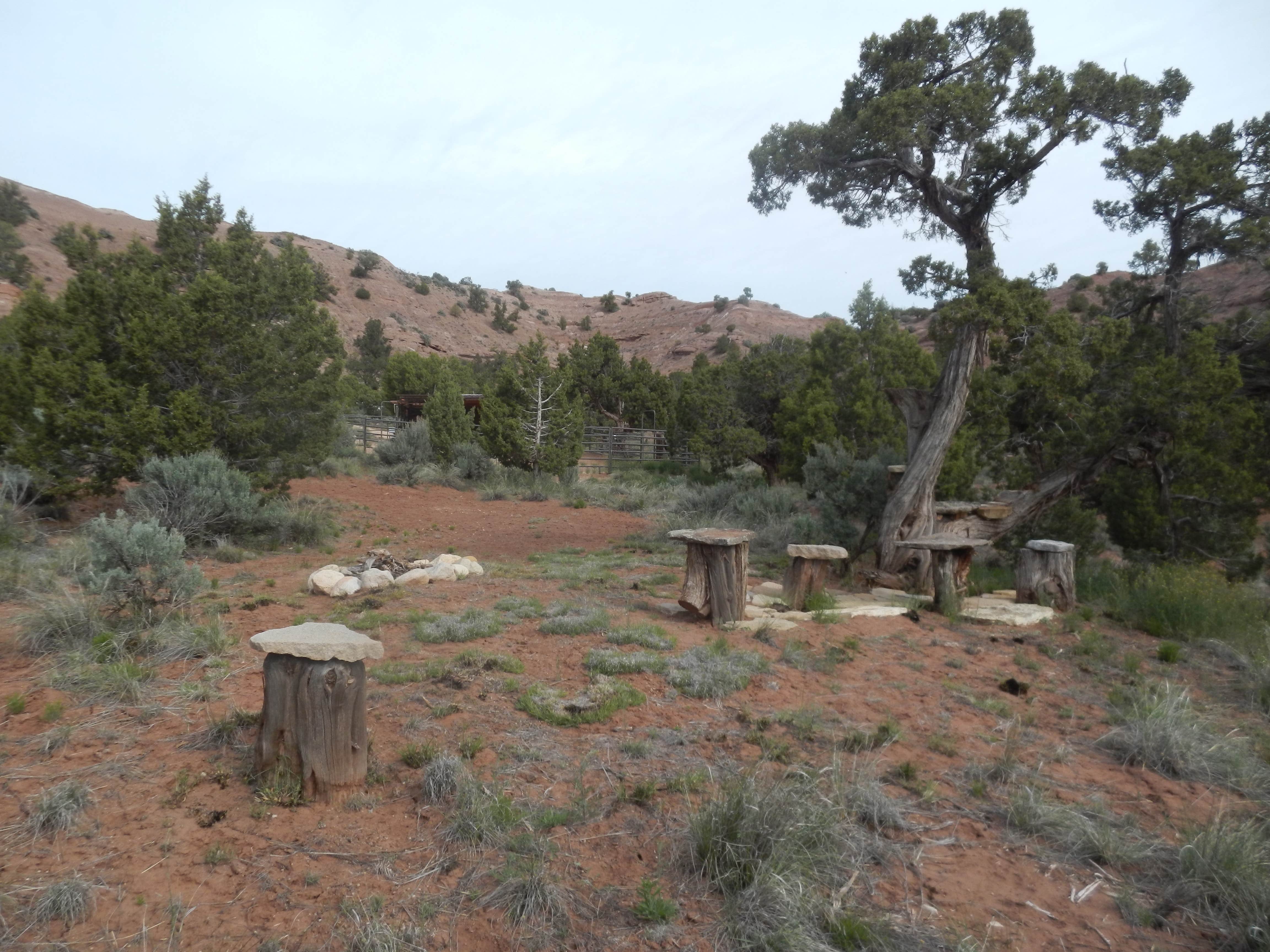 Camper-submitted photo at Ranchito Feliz near Henrieville, UT