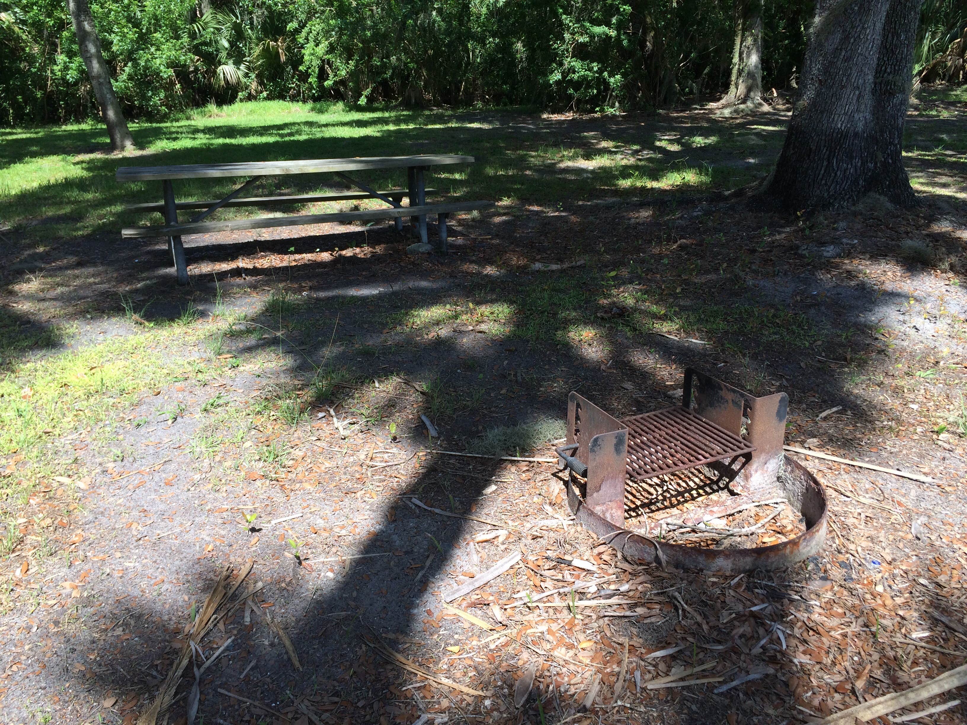 Camper-submitted photo at Mullet Lake Park near Osteen, FL