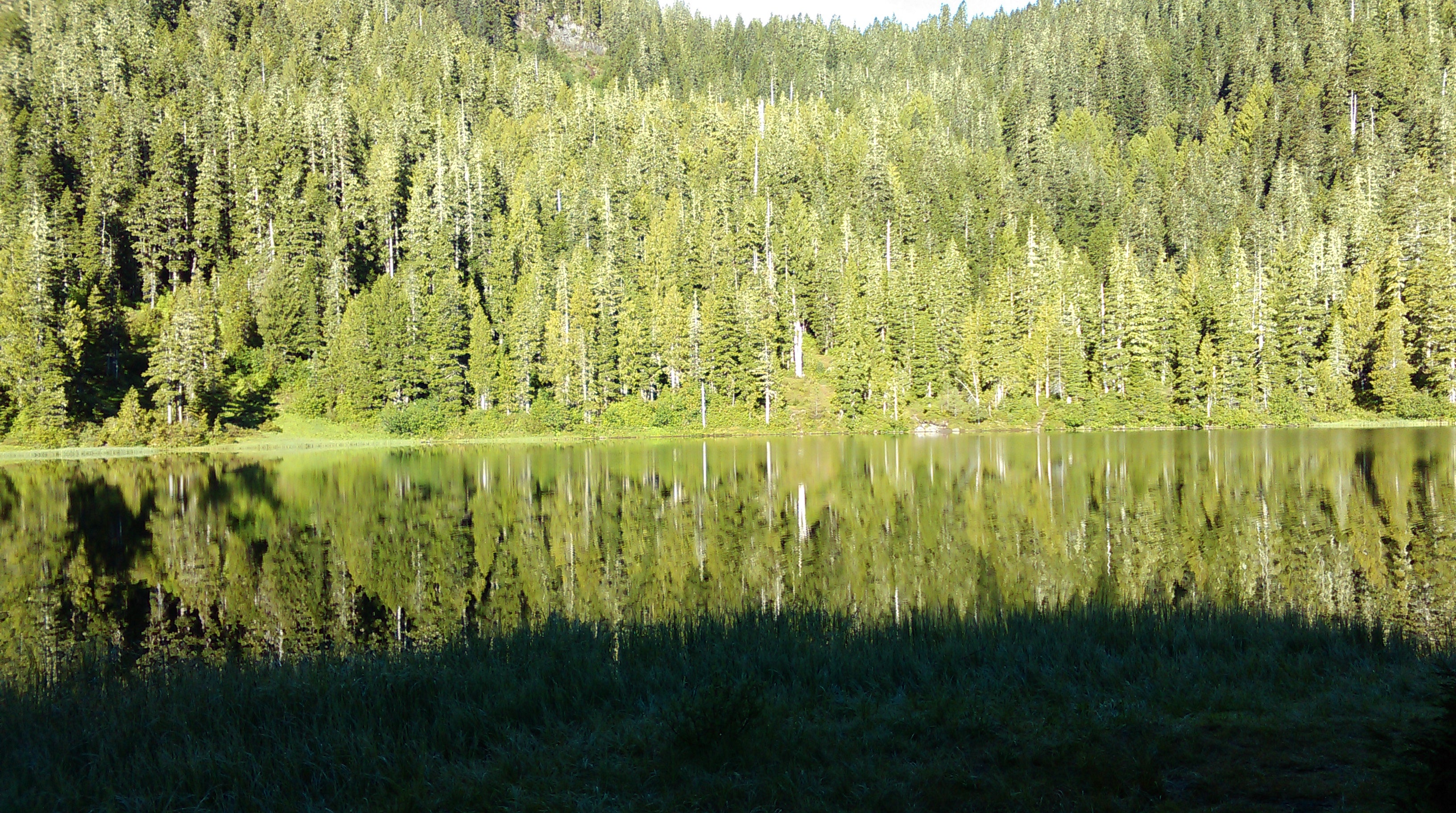 Camper submitted image from Deer Lake — Olympic National Park - 2