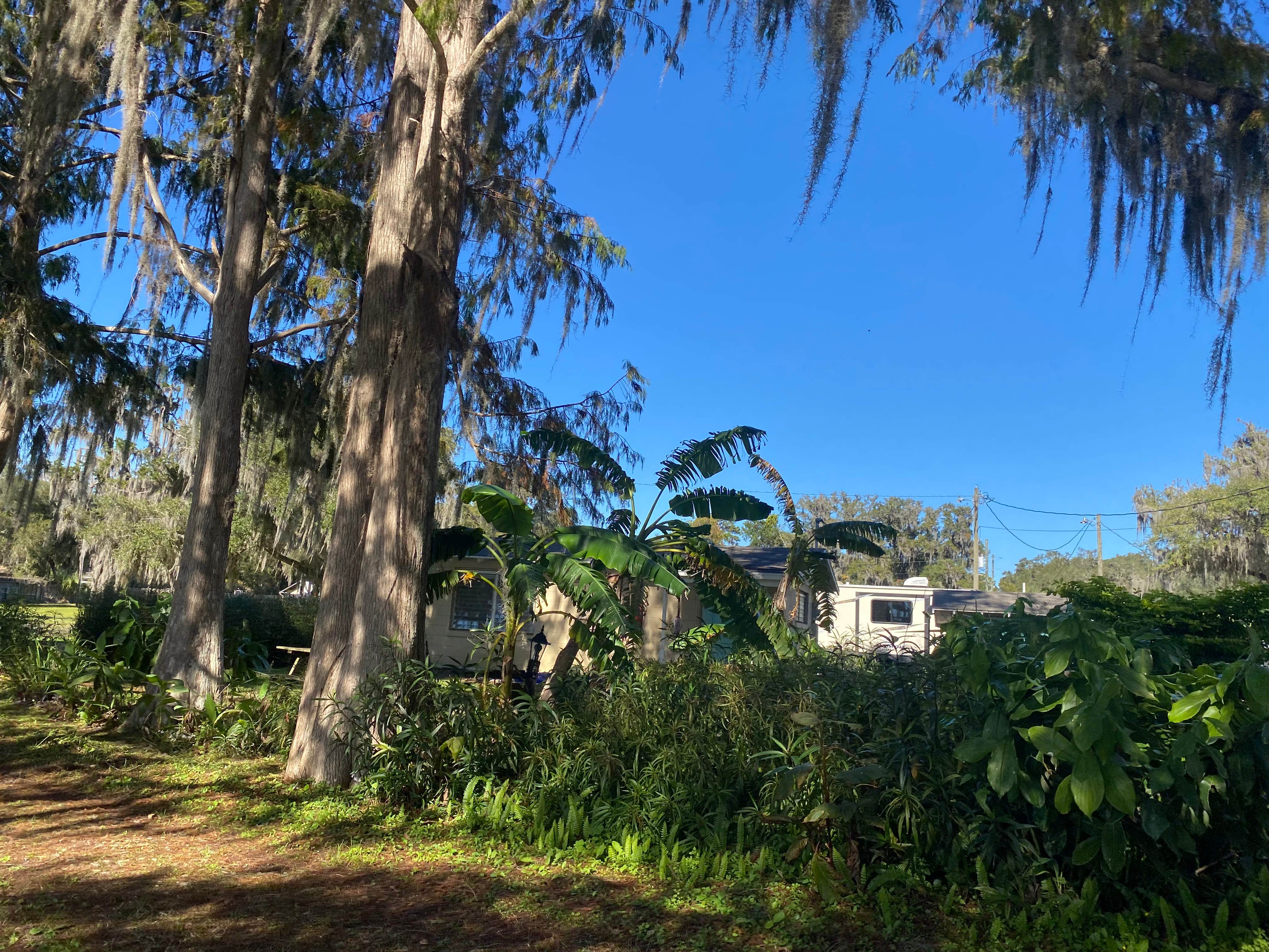 Camping near Nature Coast Landings RV Resort: Big Bass Village Camp Ground, Inglis, Florida