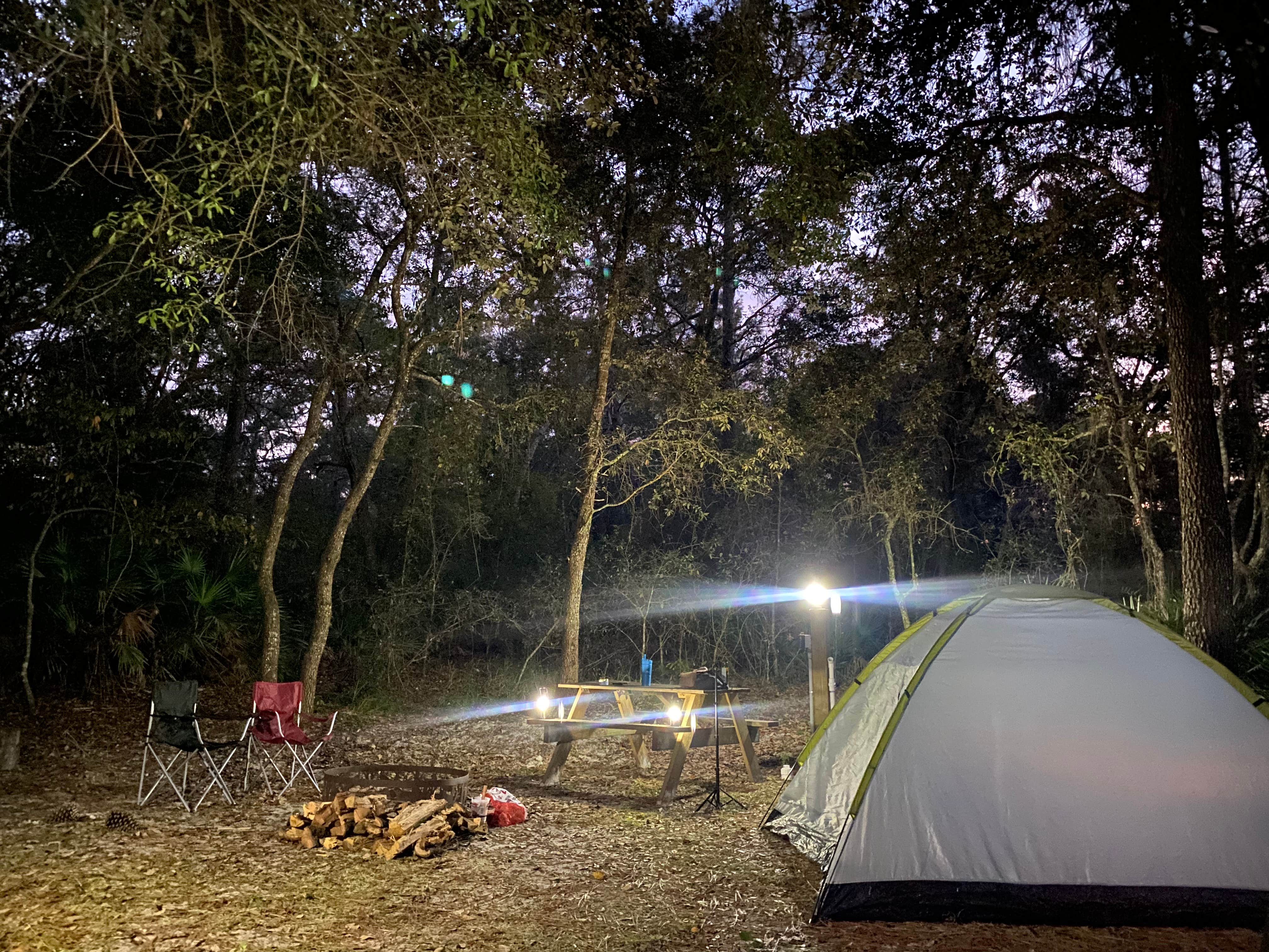 Camper-submitted photo at Cody's RV Park near Aripeka, FL