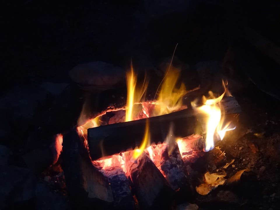 Kirsten J.'s photo at Beartree Recreation Area near Whitetop, VA