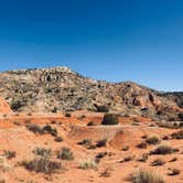 Review photo of Mesquite Campground — Palo Duro Canyon State Park by Myra T., December 4, 2021