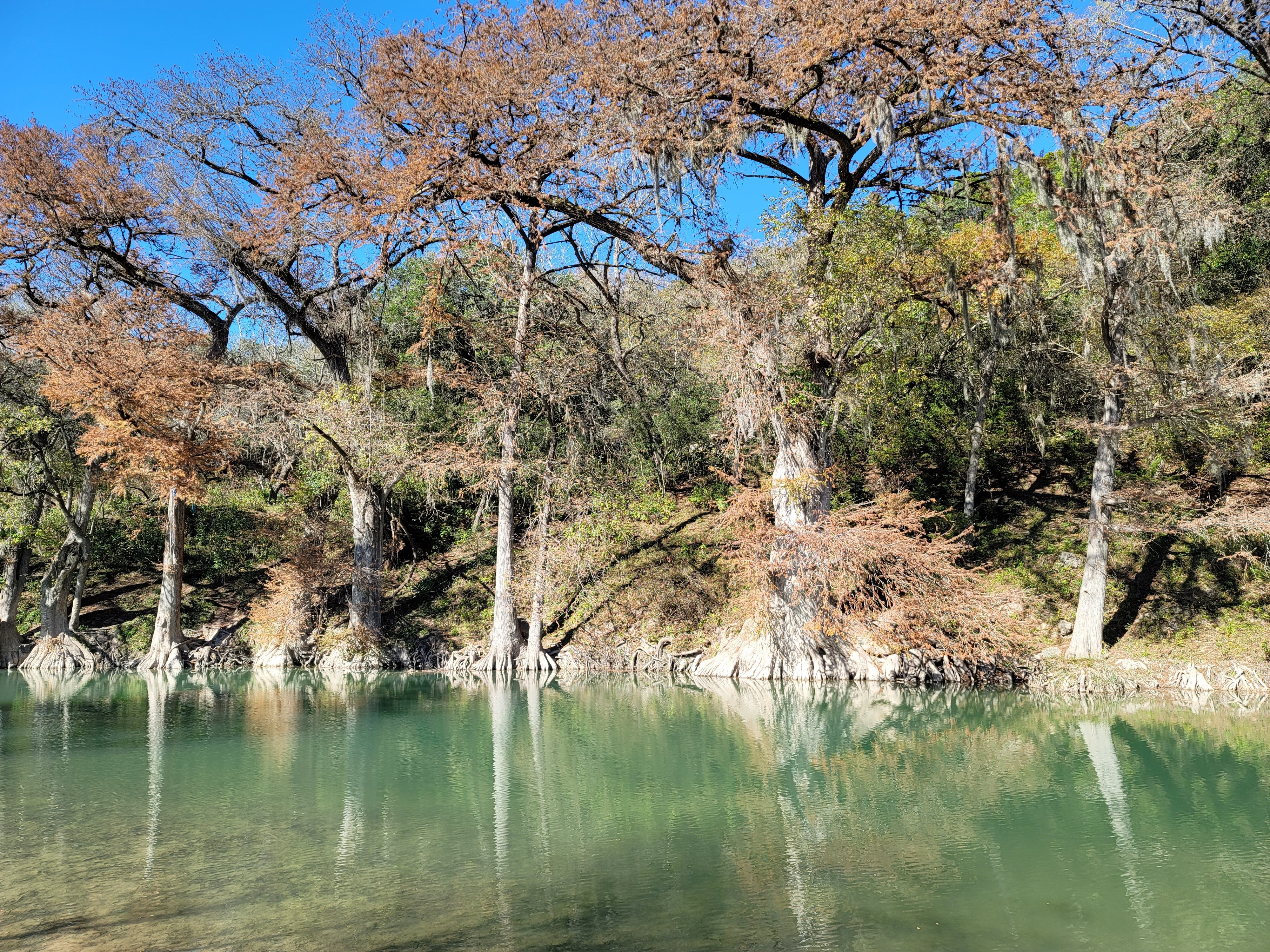 Camper submitted image from Wagon Ford Walk-In Area — Guadalupe River State Park - 4