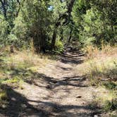 Review photo of Wagon Ford Walk-In Area — Guadalupe River State Park by Scott S., December 4, 2021