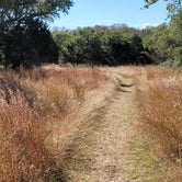 Review photo of Wagon Ford Walk-In Area — Guadalupe River State Park by Scott S., December 4, 2021