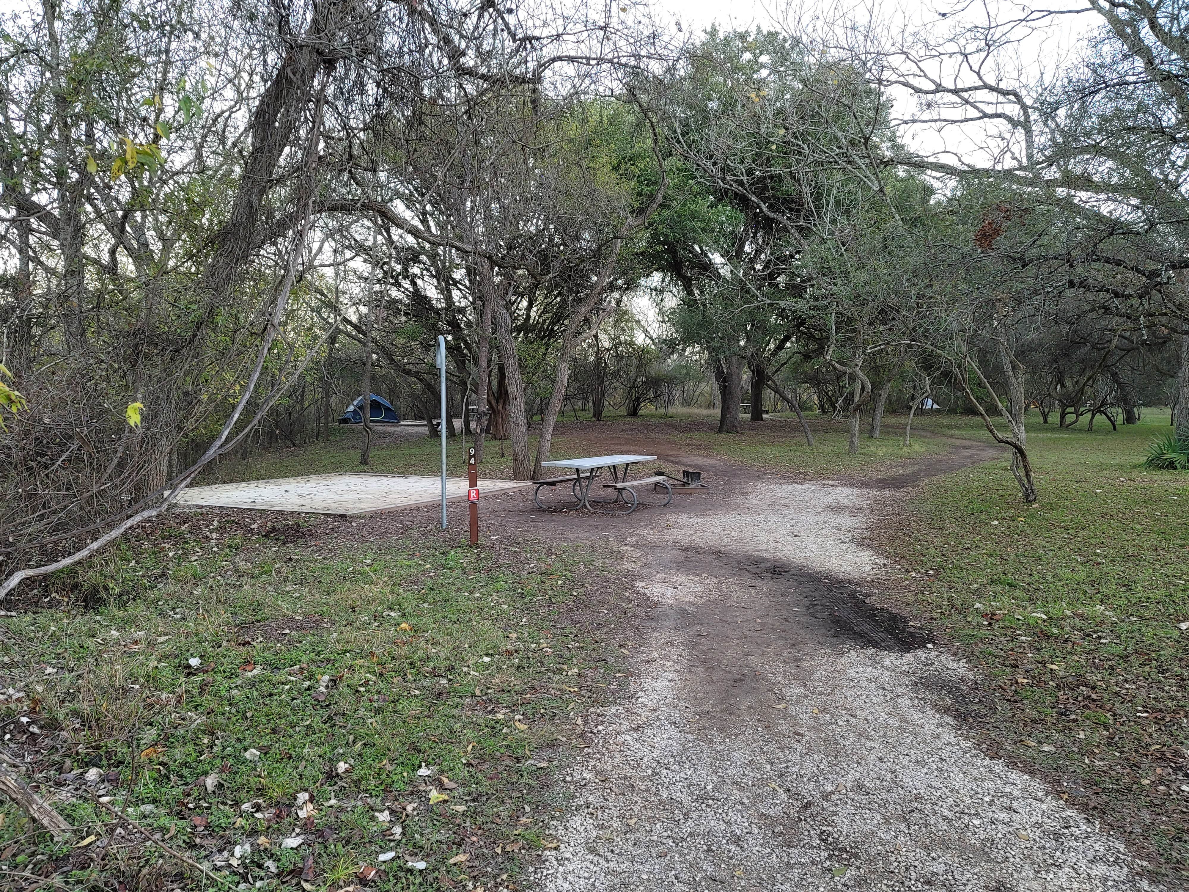 Camper submitted image from Wagon Ford Walk-In Area — Guadalupe River State Park - 5