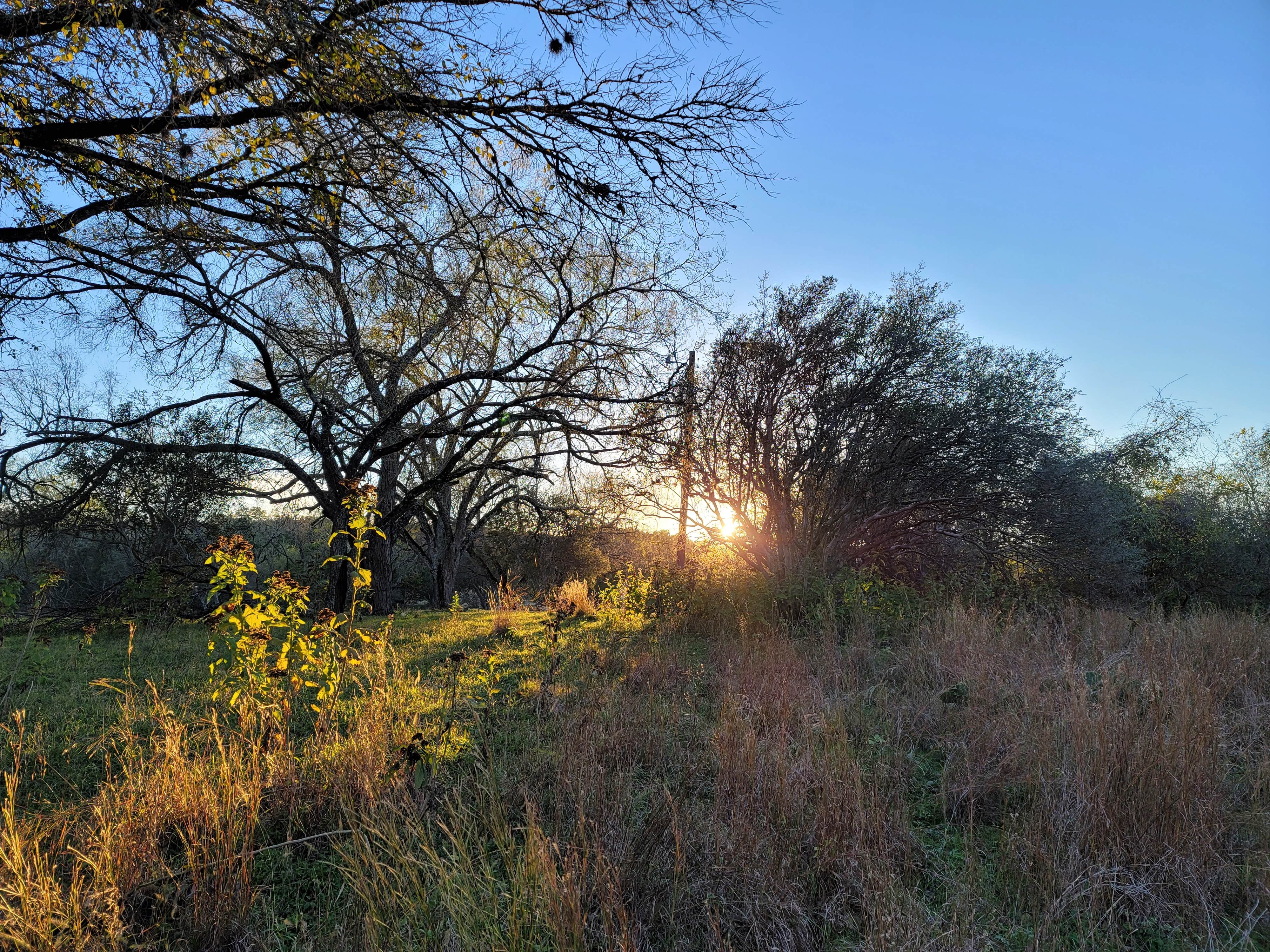 Camper-submitted photo at Wagon Ford Walk-In Area — Guadalupe River State Park near Elmendorf, TX