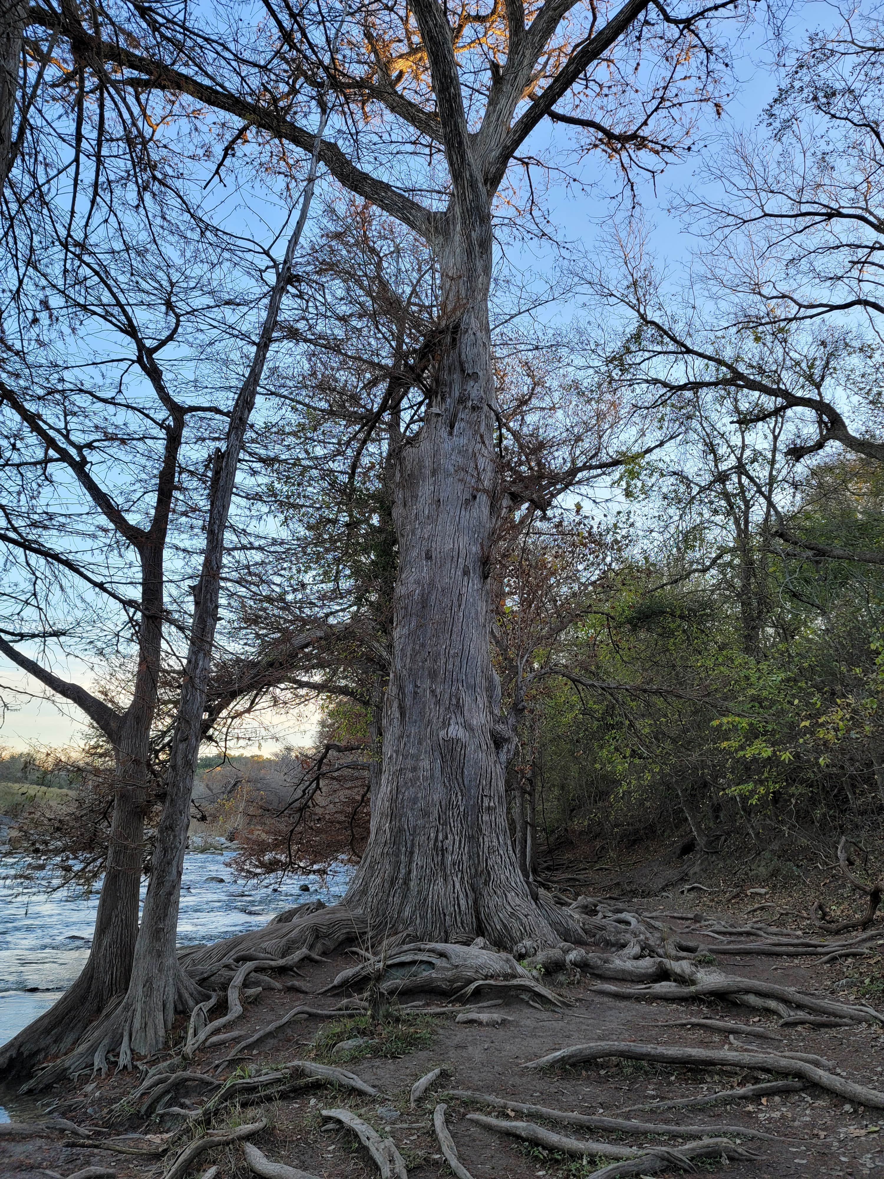 Camper-submitted photo at Wagon Ford Walk-In Area — Guadalupe River State Park near Elmendorf, TX
