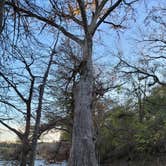 Review photo of Wagon Ford Walk-In Area — Guadalupe River State Park by Scott S., December 4, 2021