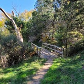 Review photo of Colorado Bend State Park Campground by Scott S., December 4, 2021