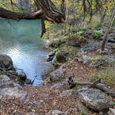 Review photo of Colorado Bend State Park Campground by Scott S., December 4, 2021