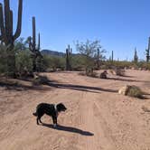 Review photo of BLM Silverbell Group Campsite by Greg L., December 4, 2021