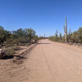 Review photo of BLM Silverbell Group Campsite by Greg L., December 4, 2021