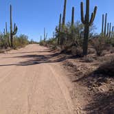 Review photo of BLM Silverbell Group Campsite by Greg L., December 4, 2021