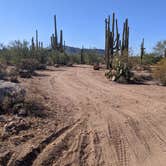 Review photo of BLM Silverbell Group Campsite by Greg L., December 4, 2021