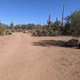 Review photo of BLM Silverbell Group Campsite by Greg L., December 4, 2021