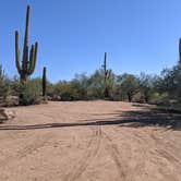 Review photo of BLM Silverbell Group Campsite by Greg L., December 4, 2021