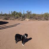 Review photo of BLM Silverbell Group Campsite by Greg L., December 4, 2021