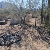 Review photo of BLM Silverbell Group Campsite by Greg L., December 4, 2021