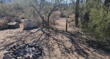 BLM Silverbell Group Campsite