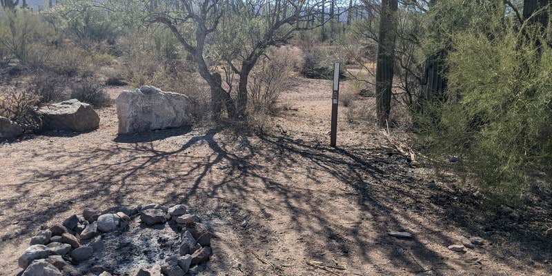 Camper submitted image from BLM Silverbell Group Campsite