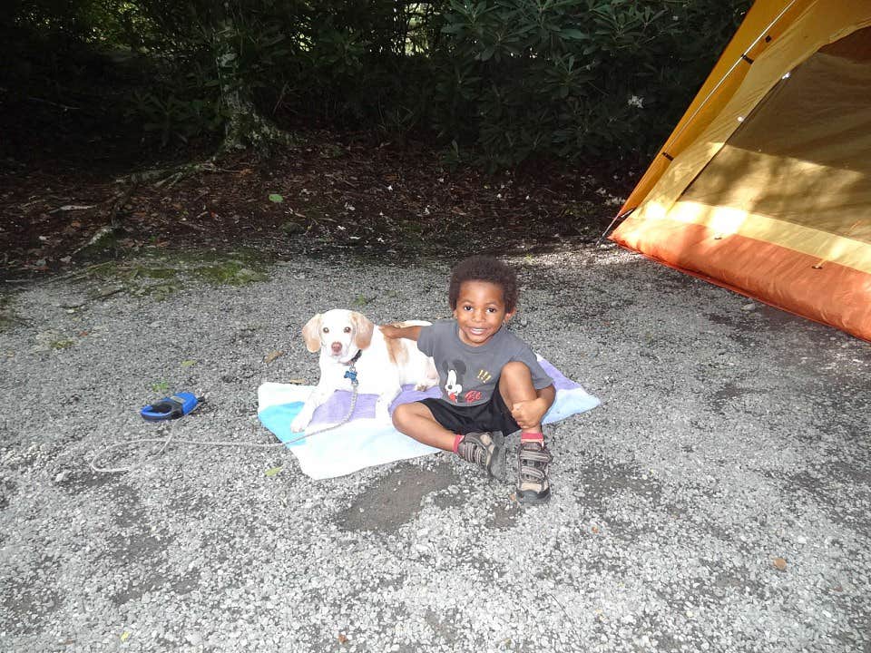 Kirsten J.'s photo at Jefferson National Forest Beartree Campground near Abingdon, VA