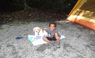 Kirsten J.'s photo at Jefferson National Forest Beartree Campground near Chilhowie, VA