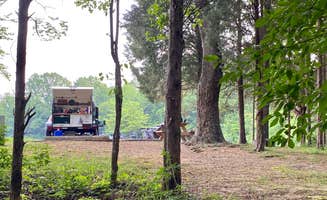 Steve D.'s photo of rv camping at Patoka Lake Campground near Hoosier National Forest