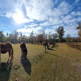 Review photo of Holden Beach RV Campground by JJ S., December 5, 2021