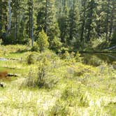 Review photo of Deer Lake — Olympic National Park by Danielle S., July 24, 2016