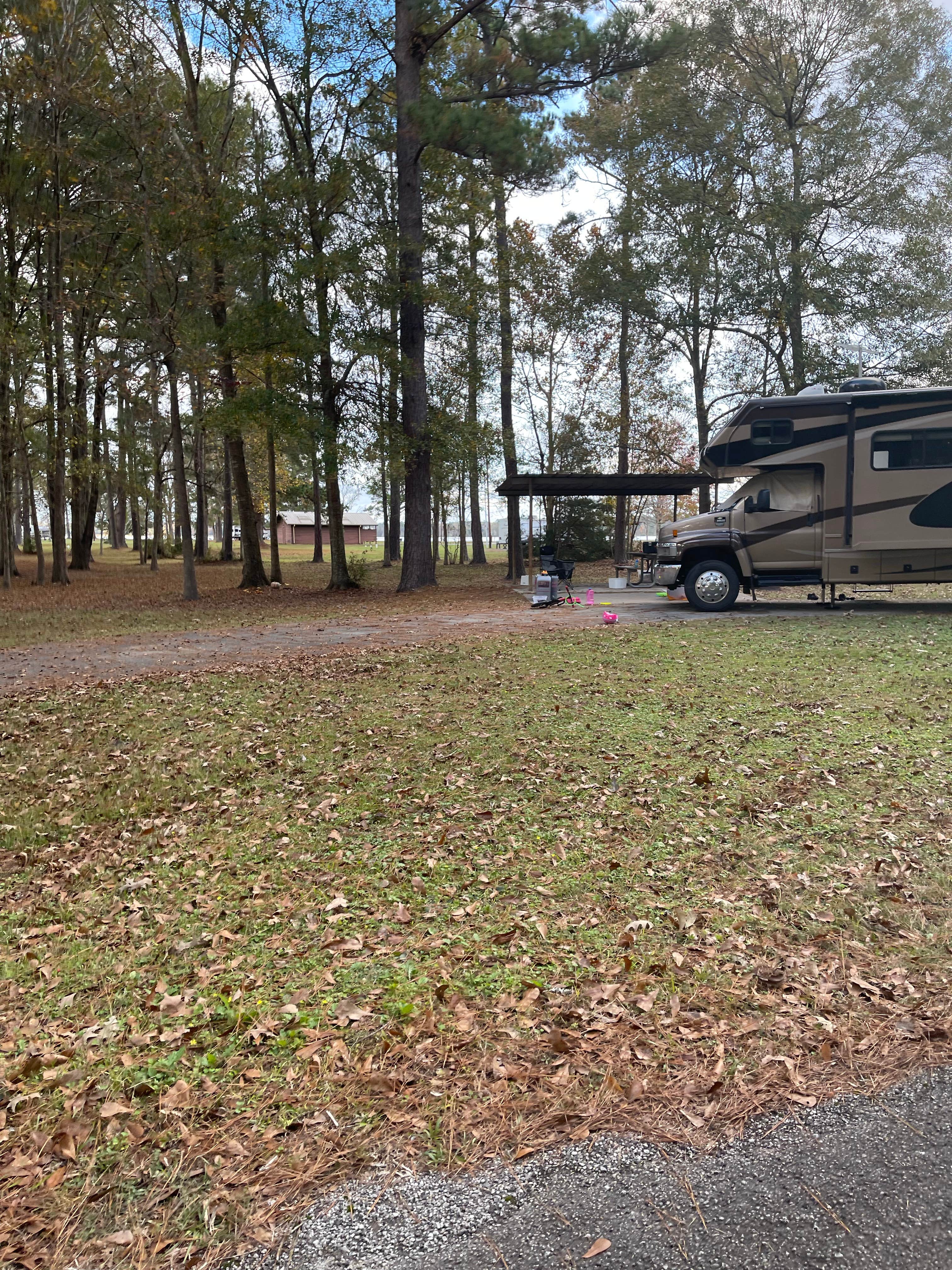 Erin  R.'s photo at Sandy Creek near Big Thicket National Preserve