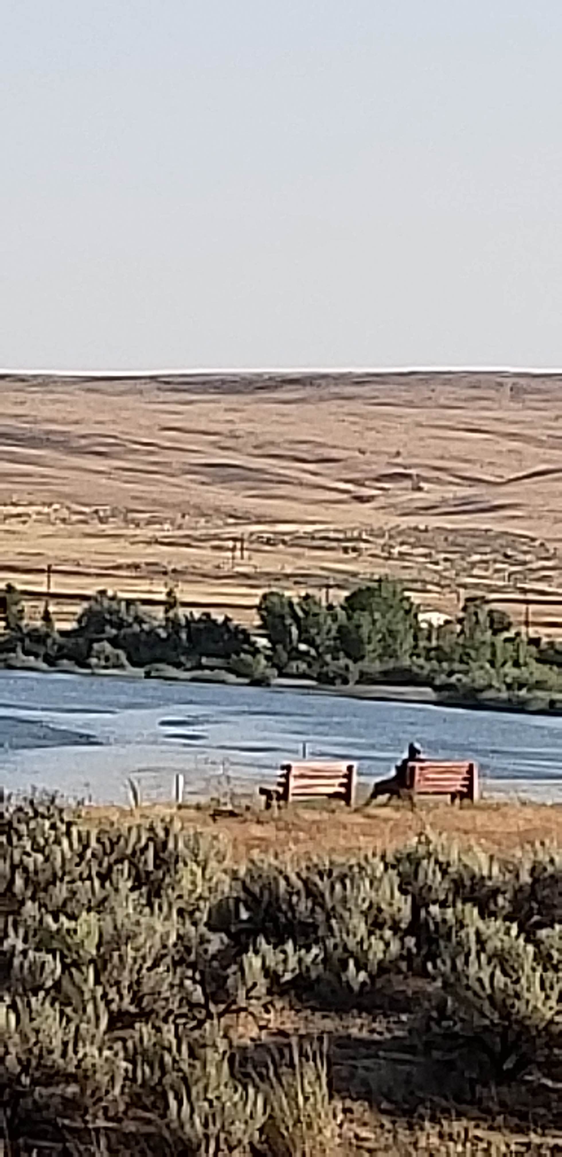 This was a photo from our site, there is steps right by that bench to walk down to the reservoir.